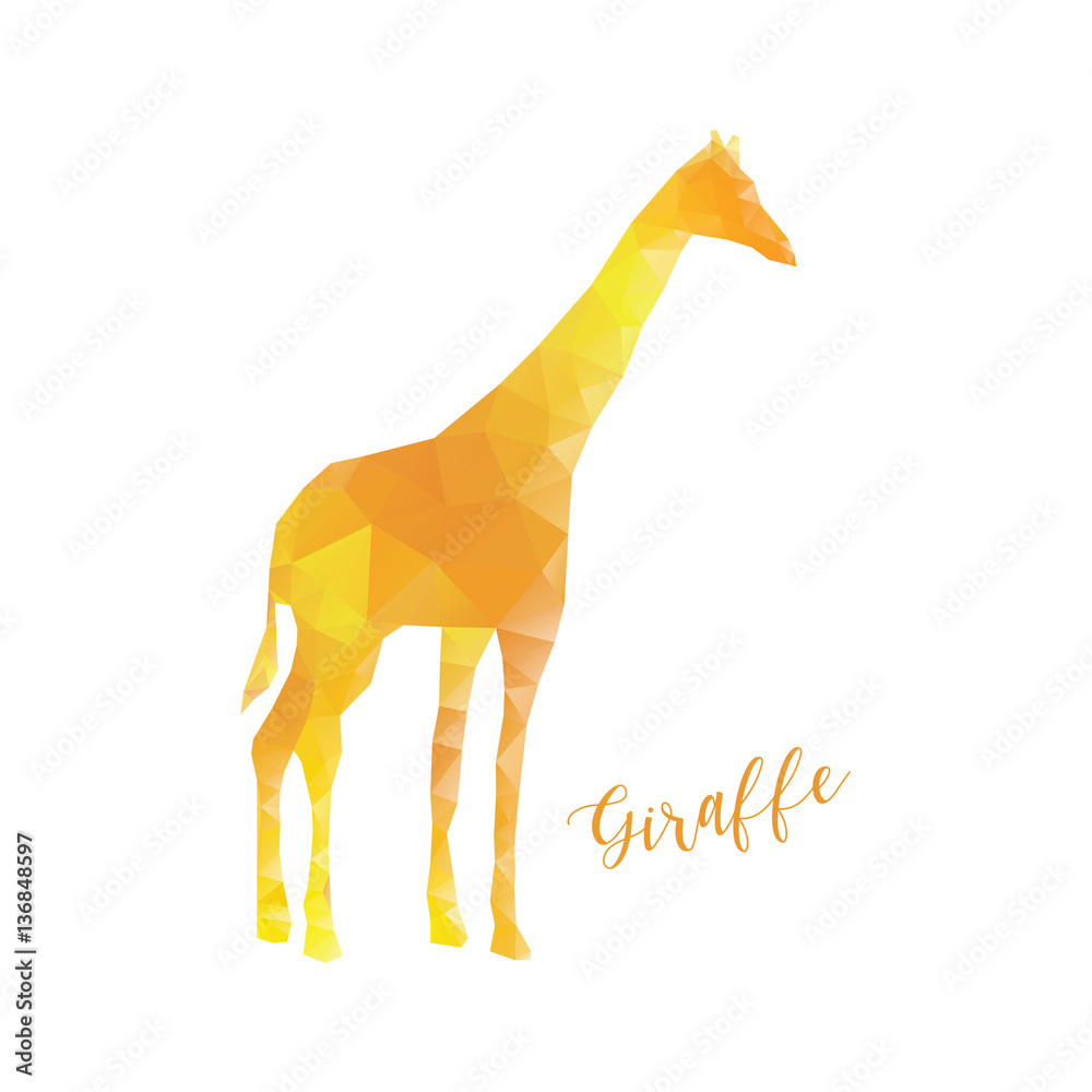 Obraz premium Giraffe in low poly style. Polygonal animal isolated