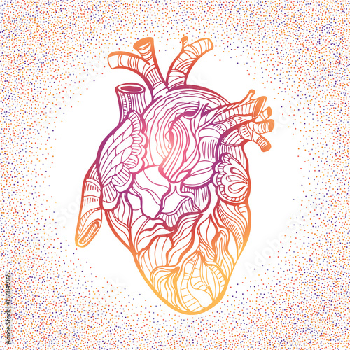 Hand drawing sketch anatomical heart. Doodle zentangle vector illustration. 