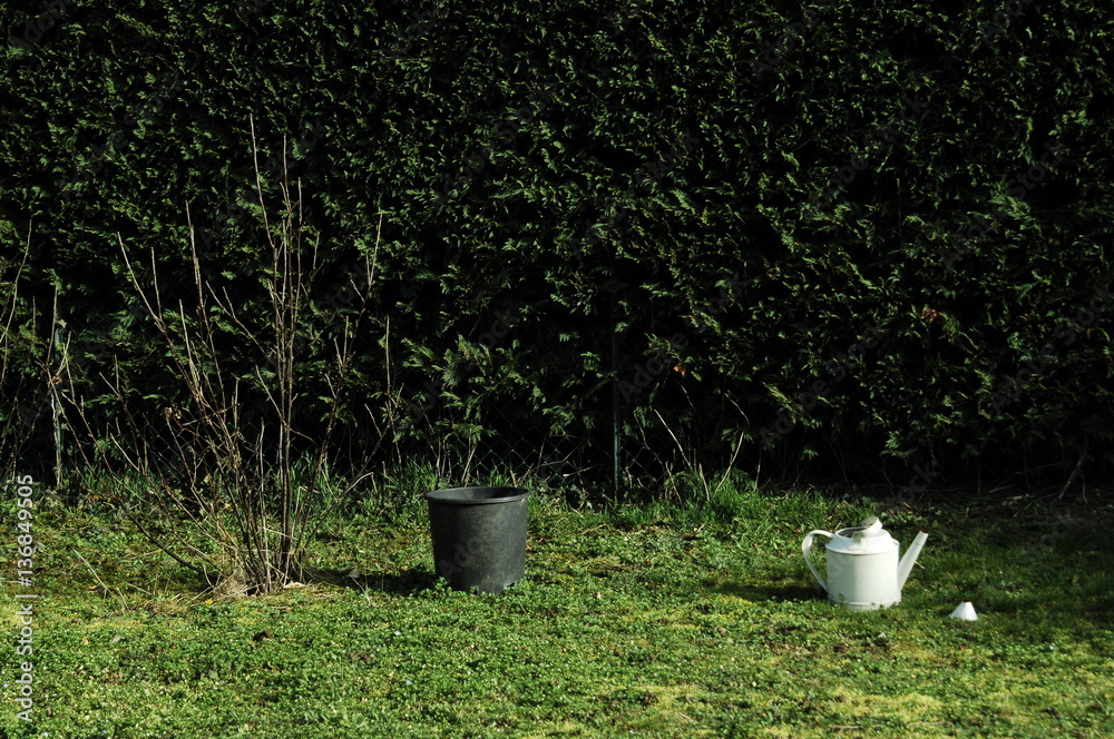 arrosoir et seau dans le jardin en février 2017 arrosoir et seau dans le jardin en février 2017