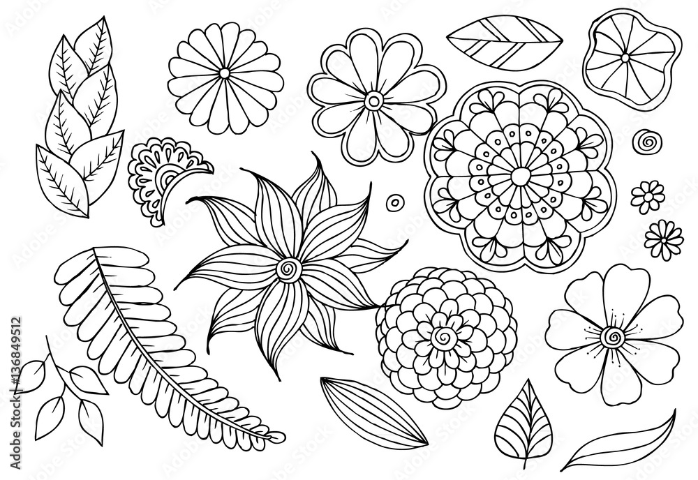 Set of doodle floral elements for design or coloring