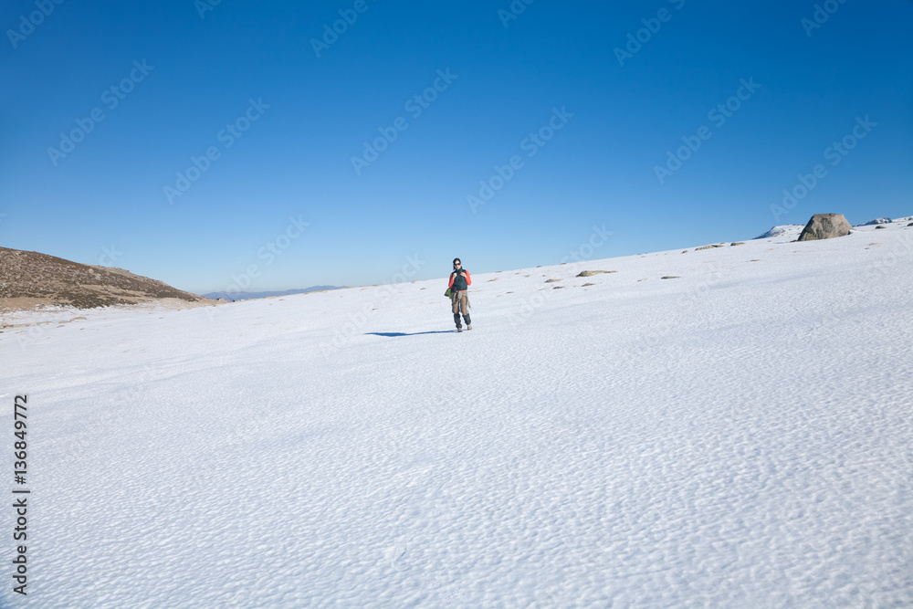 brunette sport active woman with green vest, red sweater, brown trousers walking hiking in snow with blue sky in Gredos mountain, Avila, Spain, Europe
