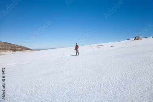 brunette sport active woman with green vest, red sweater, brown trousers walking hiking in snow with blue sky in Gredos mountain, Avila, Spain, Europe 