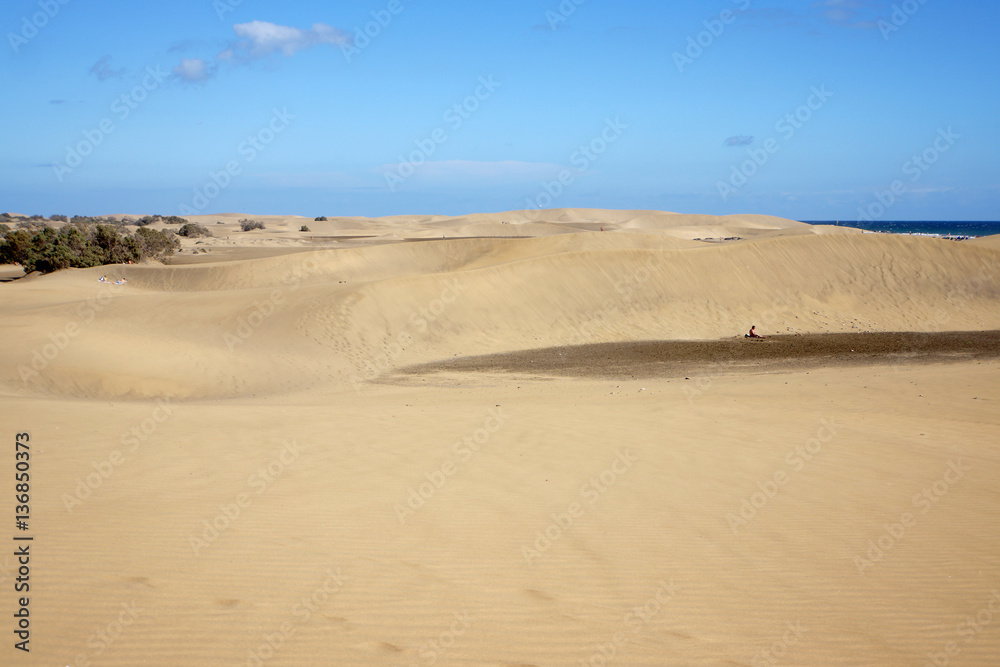 Dünenlandschaft am Strand von Maspalomas