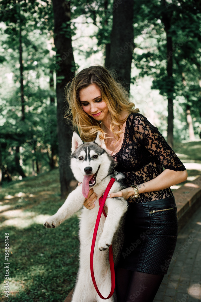 The girl with the siberian husky. Delightful girl plays with a Siberian Husky. Girl walking with a hunting dog - the West Siberian husky.