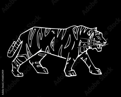 Hand-drawn pencil graphics  tiger head. Engraving  stencil style. 