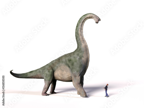 comparison of the size of an adult Brachiosaurus altithorax from the Late Jurassic and a 1.8m human (Homo sapiens), 3d illustration © dottedyeti