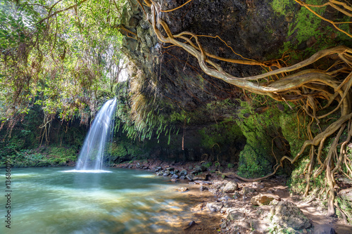 Papier peint lush and green wilderness of twin falls, Maui, Hawaii