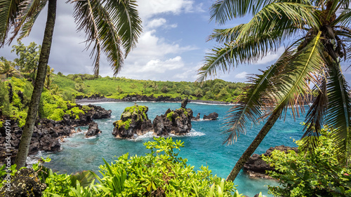 Black sand beach with turquoise sea at Waianapanapa state park on the tropical island of Maui, Hawaii with palm trees framing the scene