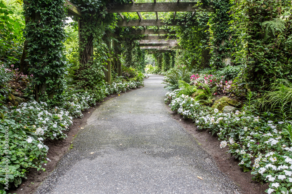 Pathway in a lush garden