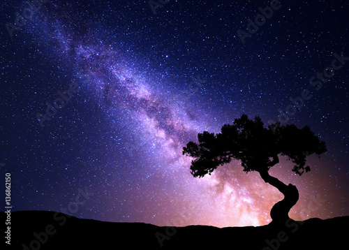 Milky Way and tree on the hill. Old tree growing out of the mountain against night starry sky with purple milky way. Night landscape. Space background. Galaxy. Travel.. Wilderness, wild nature