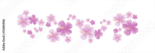 Purple flying flowers isolated on white. Sakura flowers. Cherry blossom. Vector 