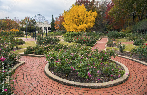 Rose garden, Birmingham Botanical Gardens