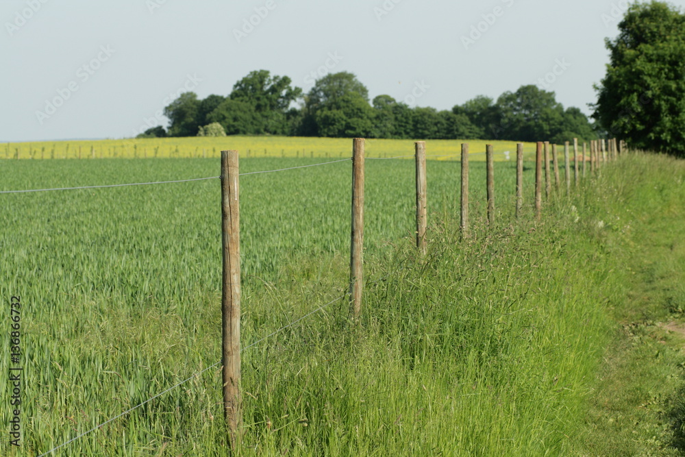 Clôture dans la campagne picarde, France