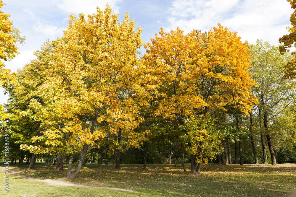 Maple Park in autumn