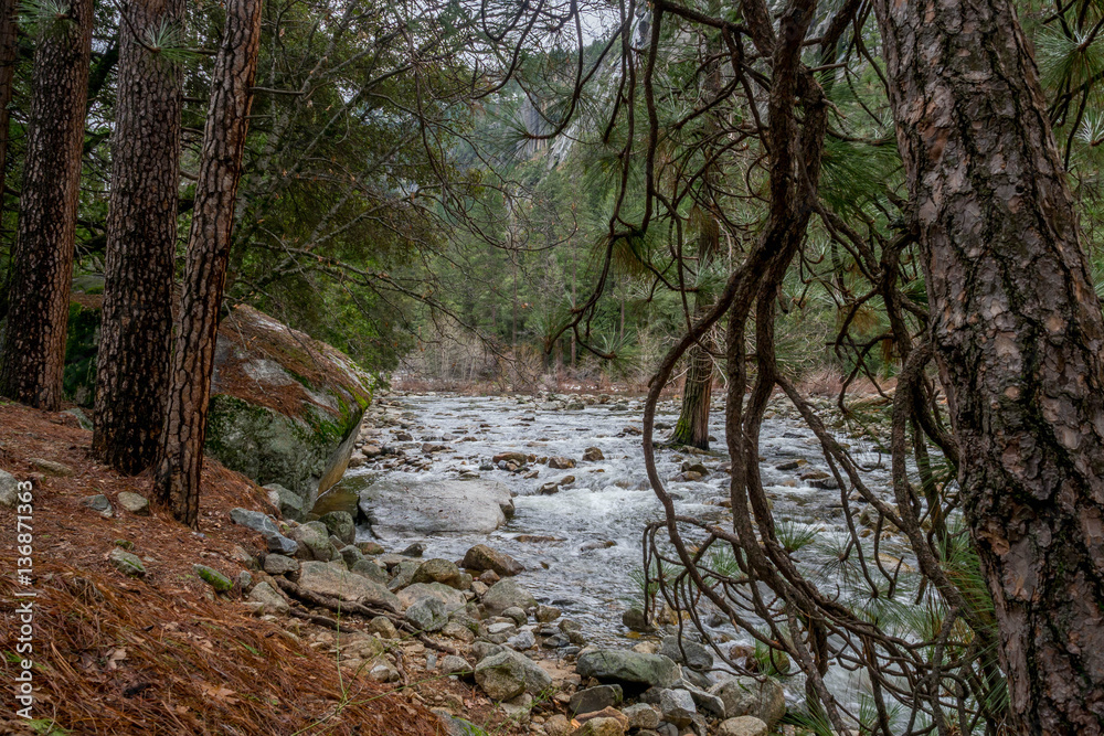 Yosemite Winter 