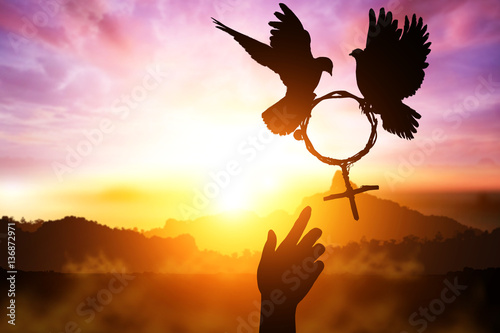 silhouette of Two helping hand desire to two dove holding branch in Venus symbol shape flying on sunset sky for International Women's Day background