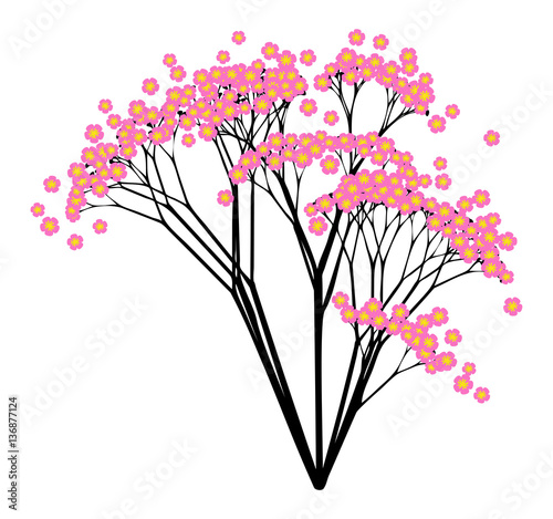 Pink Blossom - vector illustration