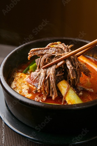yukgaejang korean style tofu stew, korean traditional soup,