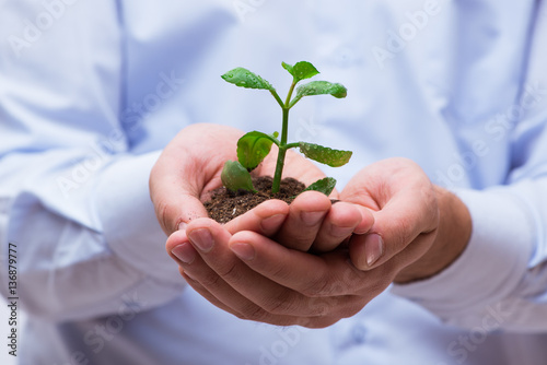 Man holding green seedling isolated on white