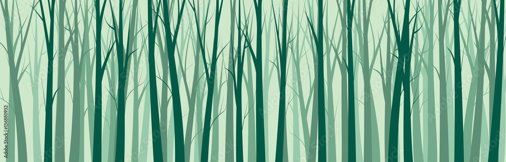 Naklejka premium Wide Forest Background - vector illustration