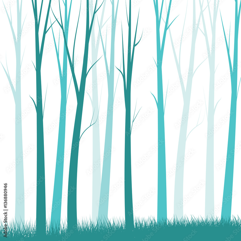 Fototapeta premium Simple Forest Background - vector illustration
