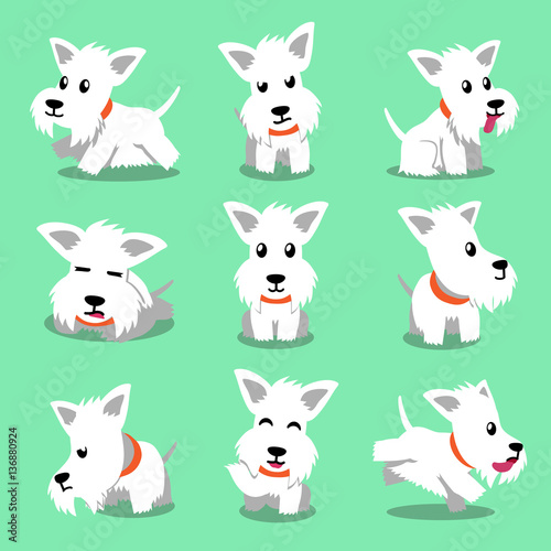Cartoon character white scottish terrier dog poses