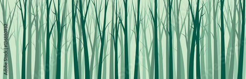 Wide Forest Background    - vector illustration