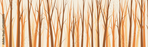 Wide Forest Background    - vector illustration