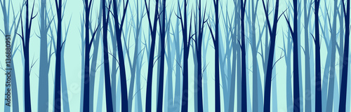 Wide Forest Background    - vector illustration