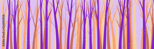 Wide Forest Background    - vector illustration