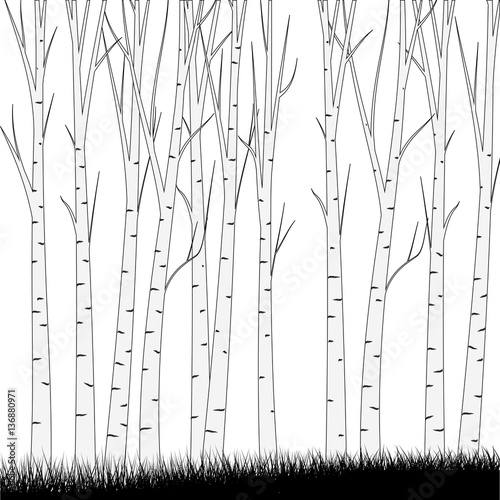 Simple Forest Background    - vector illustration