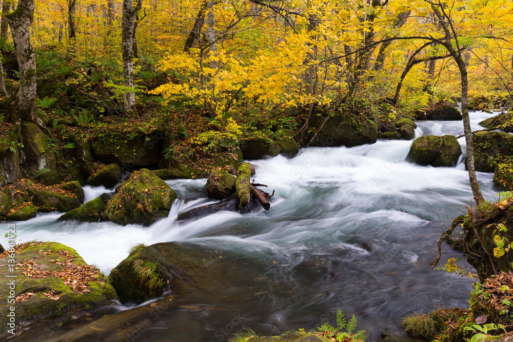 Oirase Mountain Stream in autumn