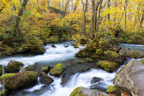Oirase Stream in autumn