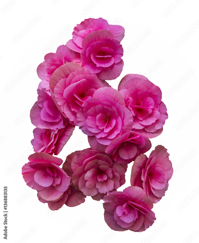 Beautiful pink Bouquet flowers