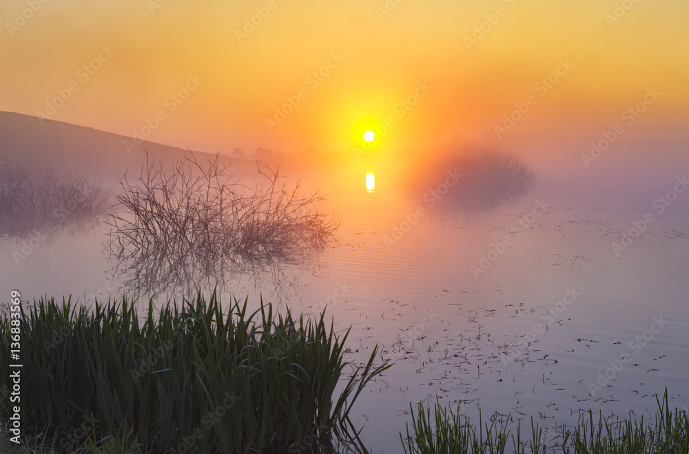 Fototapeta premium misty, fairytale sunrise over the lake