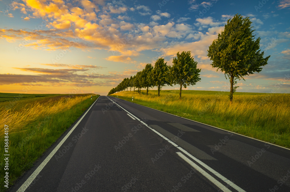 country road running through a field at sunset