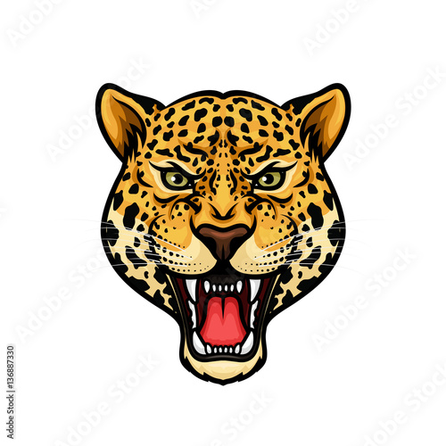 Jaguar head isolated cartoon mascot design