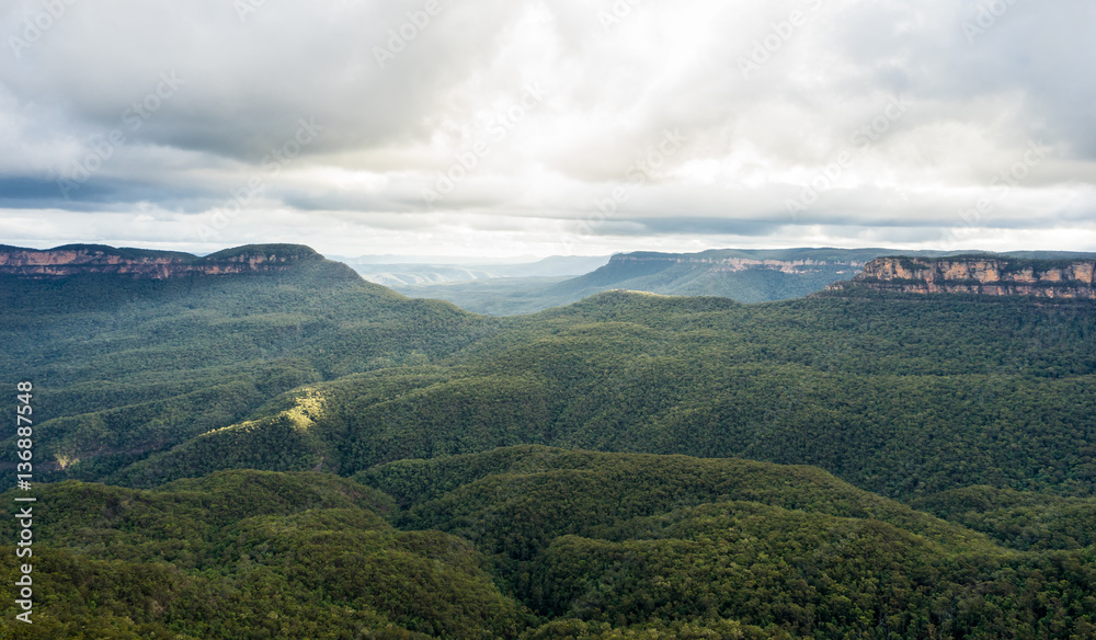 View over misty Blue Mountains Autralia. Endless eucalyptus forest, cliffs and misty horizon. Taken during sunset on a cloudy day.