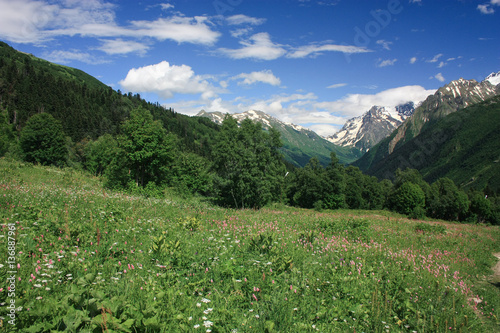 Mountain summer landscape with forest and high peaks. Caucasus. © explorich
