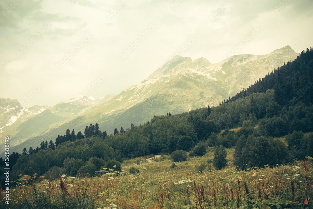 Mountain summer landscape with forest and high peaks. Caucasus.