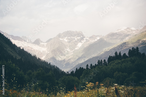 Mountain summer landscape with forest and high peaks. Caucasus.
