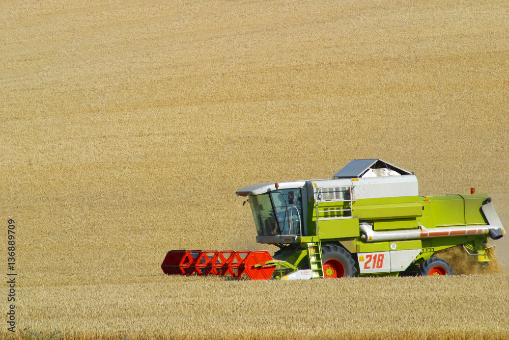 working harvester on summer noon StockFoto Adobe Stock