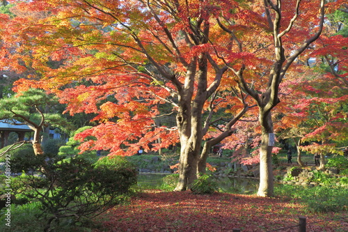 日比谷公園 紅葉