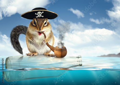 Foto Funny drifting animal pirate, chipmunk with filibuster hat