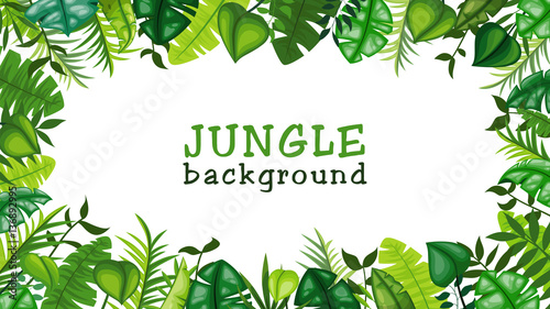 Jungle vector background