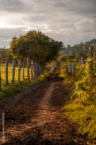 chemin de terre