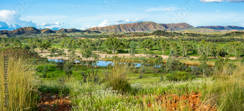 Glen Helen Viewpoint. View over landscape near Glen Helen, NT Australia. Red ochre sand, green grass, eucalyptus trees and iconic mountains. Plants shine vibrant green after heavy rains.