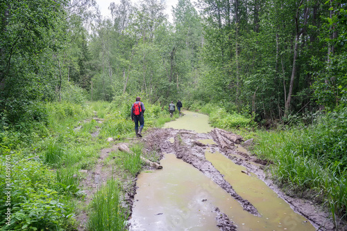 Three men go on vanishing dirt road road through swamp in forest 