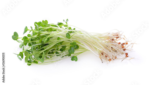Fotografie alfalfa sprouts or kai wah-rei on white background