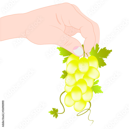 Hand keeps grape